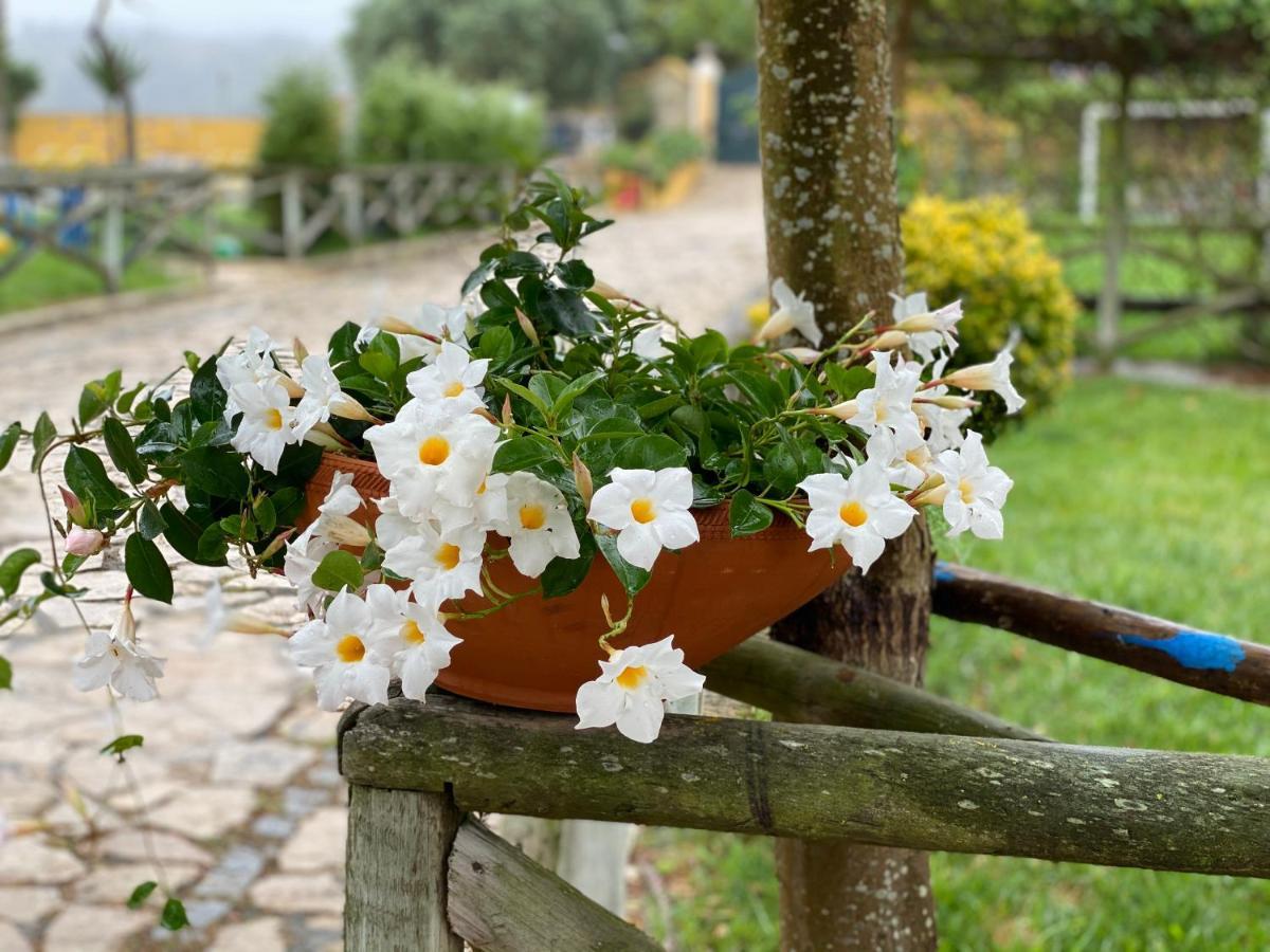 Charm Azenha Dobidos Farm Βίλα Olho Marinho Εξωτερικό φωτογραφία